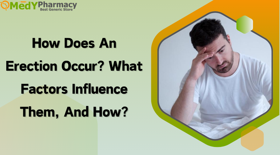How Does An Erection Occur What factors influence them, and how