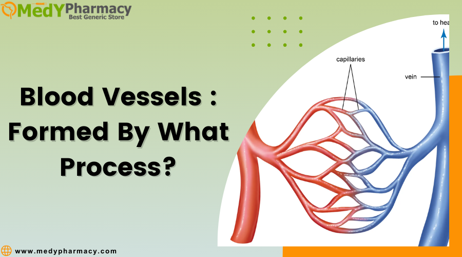 Blood vessels Formed by what process