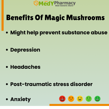 Benefits of magic mushrooms
