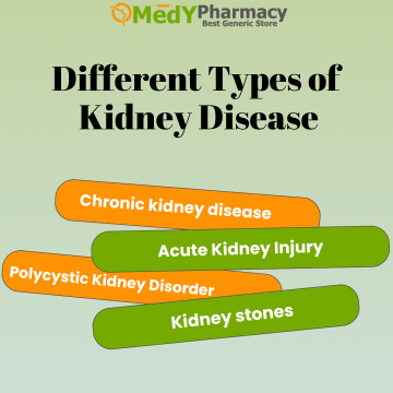 Different Types of Kidney Disease