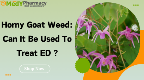 Horny Goat Weed: Can it be used to treat ED?