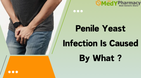 Penile Yeast Infection Is Caused By What?