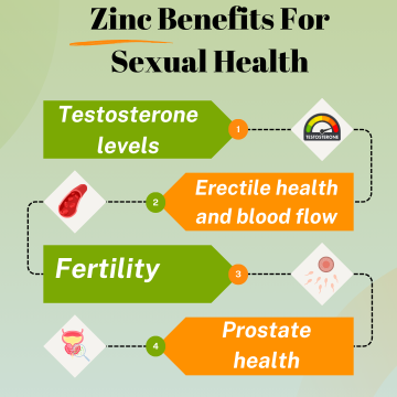 Zinc Benefits for Sexual Health