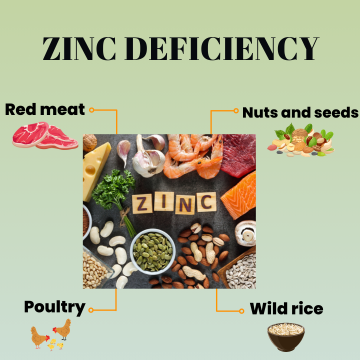 Zinc Deficiency