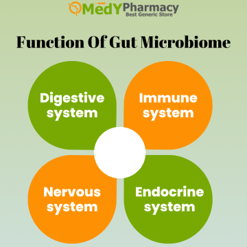 Function of Gut Microbiome