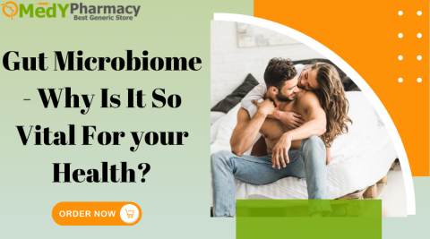 Gut Microbiome - Why is it so Vital for Your Health?