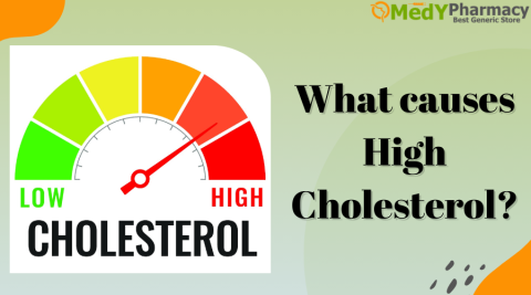 What causes high cholesterol?