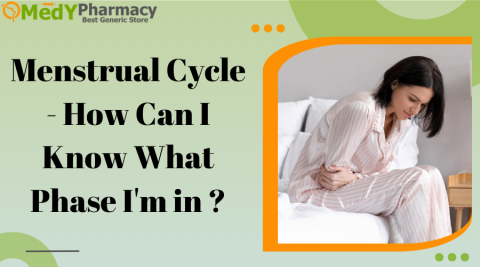 Menstrual Cycle - How Can I Know What Phase I'm in?