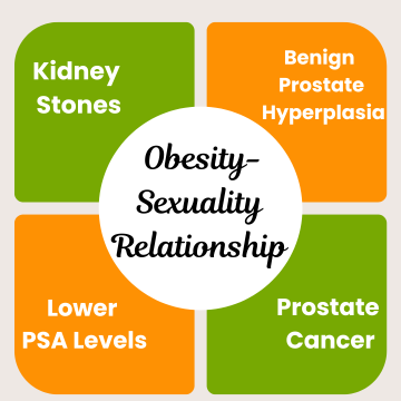 Obesity-sexuality relationship