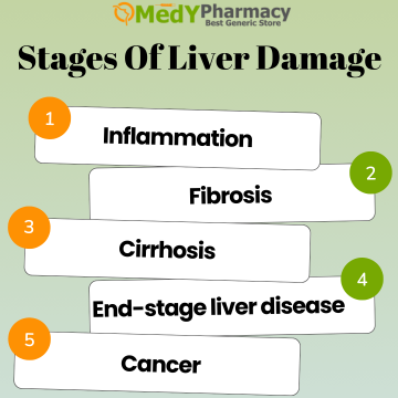 Stages of Liver Damage