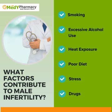 What Factors Contribute To Male Infertility?