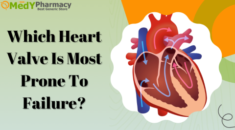 Which Heart Valve is Most Prone to Failure?