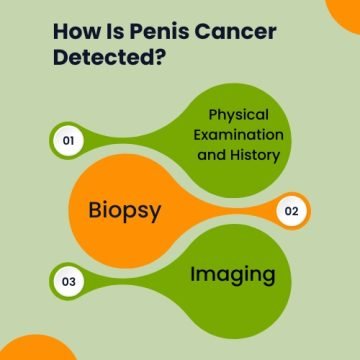 How Is Penis Cancer Detected?
