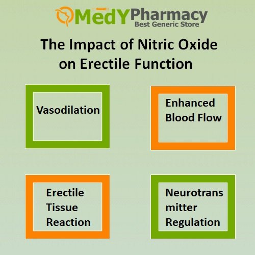 The Impact of Nitric Oxide on Erectile Function