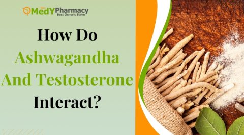 How Do Ashwagandha And Testosterone Interact?