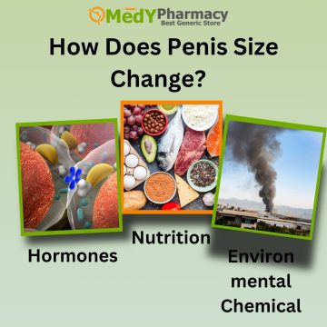 How Does Penis Size Change?