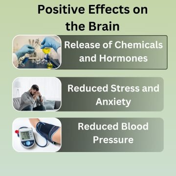 Positive Effects on the Brain