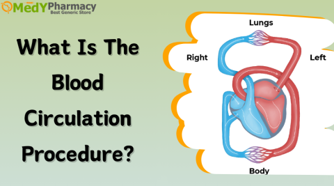 What is the Blood Circulation Procedure?