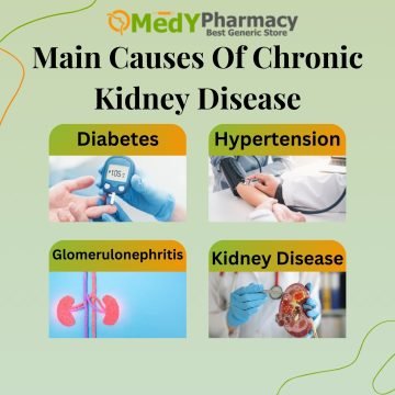 Main Causes Of Chronic Kidney Disease