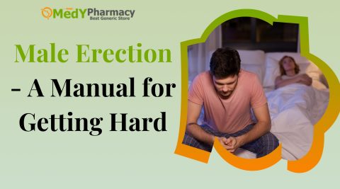 Male Erection - A Manual for Getting Hard