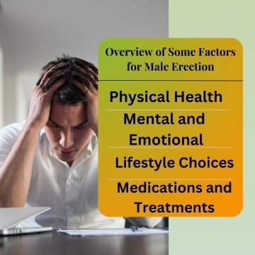 Overview of Some Factors for Male Erection