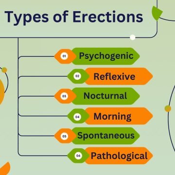 Types of Erections