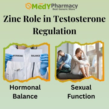 Zinc Role in Testosterone Regulation