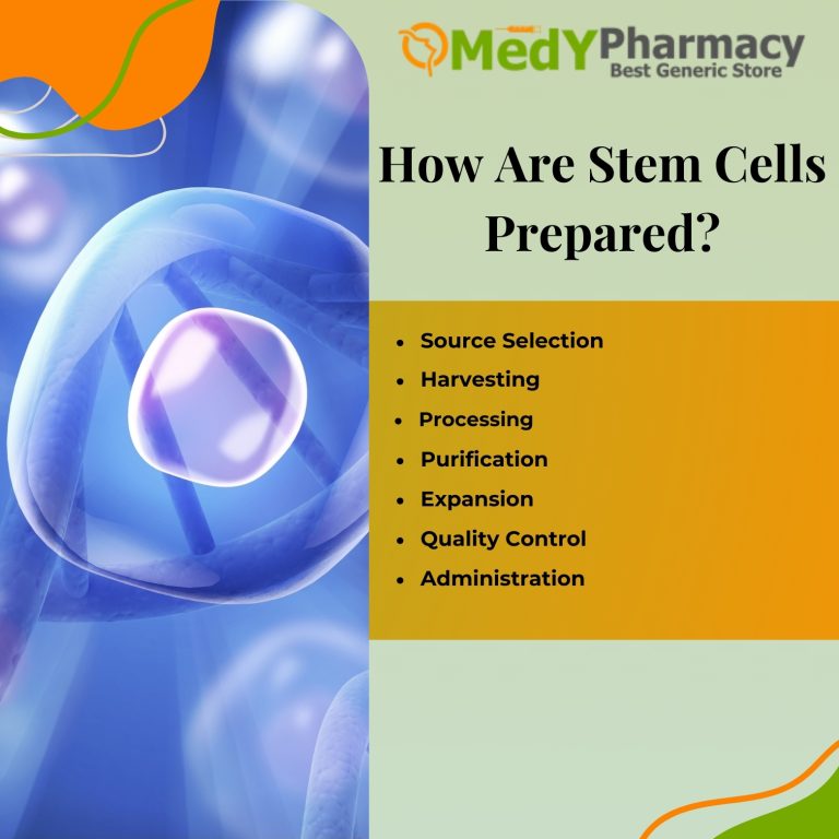 How Are Stem Cells Prepared?