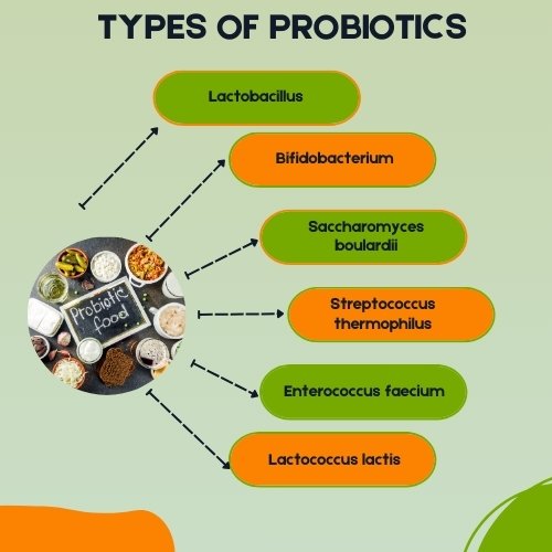 Types of Probiotics