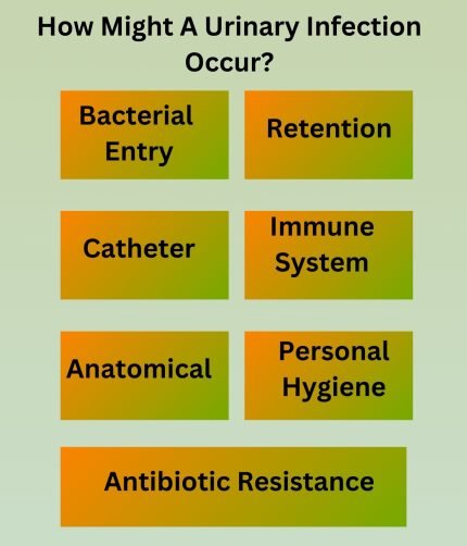 How Might A Urinary Infection Occur?