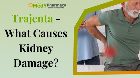 Trajenta - What Causes Kidney Damage?