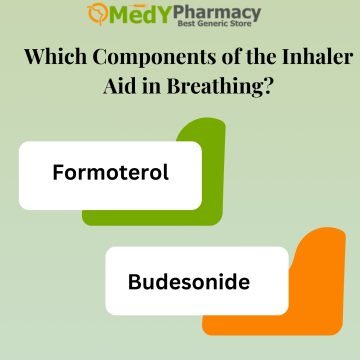 Which Components of the Inhaler Aid in Breathing?