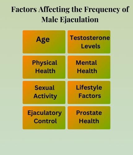 Factors Affecting the Frequency of Male Ejaculation