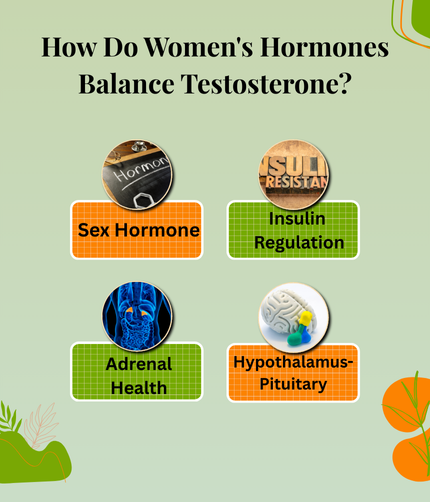 How Do Women's Hormones Balance Testosterone?
