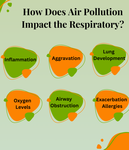 How Does Air Pollution Impact the Respiratory?