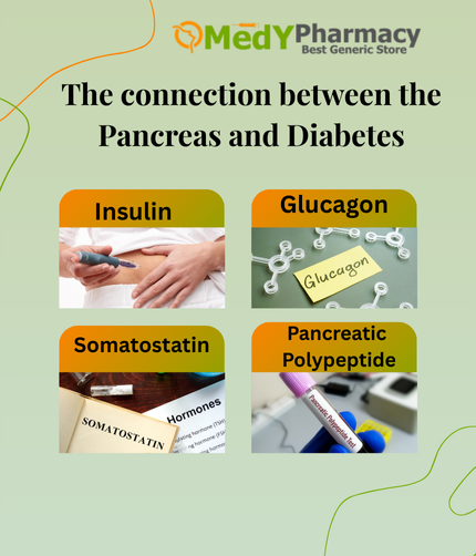 The connection between the Pancreas and Diabetes