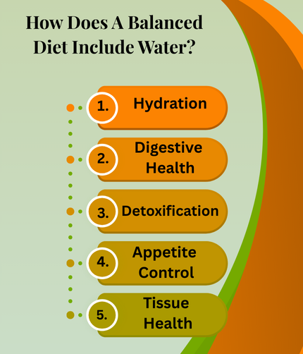 How Does A Balanced Diet Include Water?