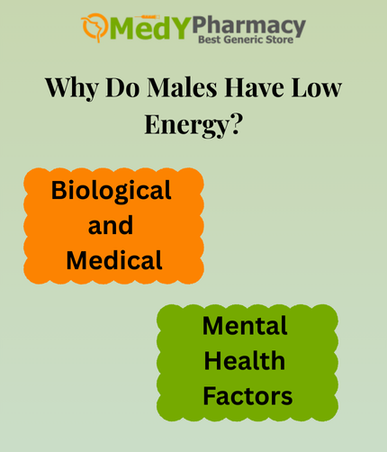 Why Do Males Have Low Energy?